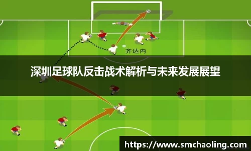 泛亚电竞手机app