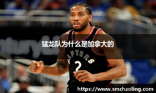 猛龙队为什么是加拿大的
